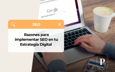 Optimización SEO para principiantes: Guía completa para empezar